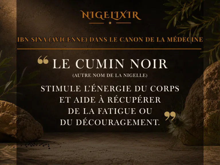 Votre texte de paragraphe (1)